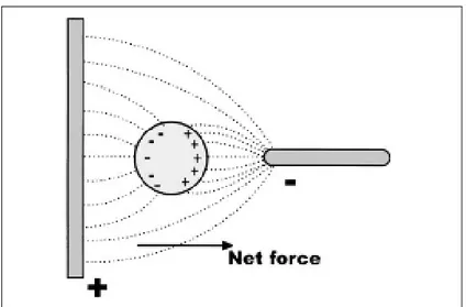 Figure 2.1.1.1 Schematic diagram of the net force acting on a polarizable  Particle due to the interaction of induced charges and local electric field [1]