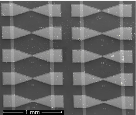Figure 3.10 General top-view of one of our fabricated chips. 