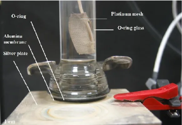 Figure 4.1.1 Our own experimental setup for electrodeposition that includes template membrane  disc, o-ring, and plates