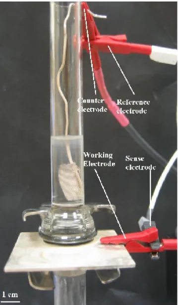 Figure 4.1.3 Our experimental setup for electrodes. 