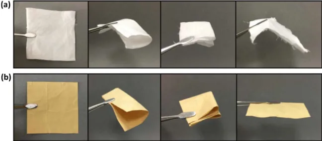Fig. 6. Photographs of (a) pristine CA and (b) CA10/PolyBA-a5/CTR1 nanoﬁbrous membranes.