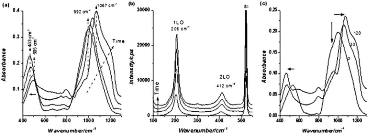 Figure 8 a shows a series of FTIR spectra of a meso-SiO 2 - -CdO-0.86 thin film that is exposed to H 2 S gas for different period of time