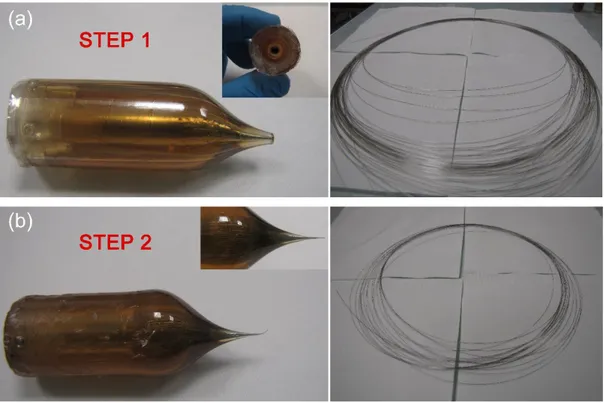Figure 2.8: Preforms that were used in the fabrication of glass-polymer core-shell nanowires