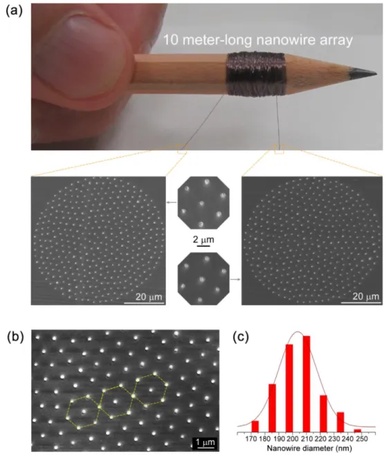 Figure 2.10: (a) A polymer-embedded nanowire array rolled around a pencil truly spans the  macroscopic and nanoscale worlds