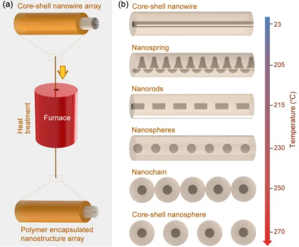 Figure  3.1:  Novel  nanoschemes  produced  by  structural  changes  in  a  nanowire  array  subjected to heat treatment