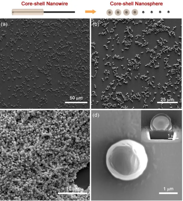 Figure 3.6: Complete deformation of core-shell nanowires into core-shell nanosphere occurs  at  temperatures  above  270  °C