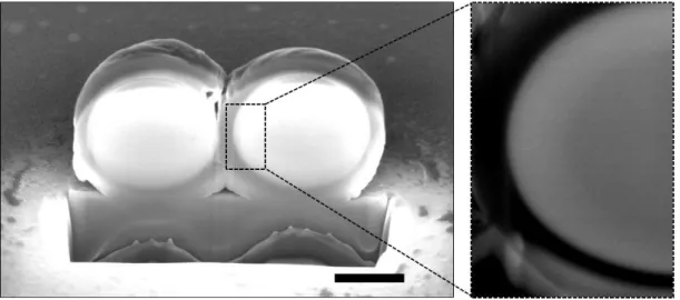 Figure 3.10: Smoothness of microscale structures. Two linked microsphere exhibit smooth  surfaces and no apparent irregularities, even under high magnification