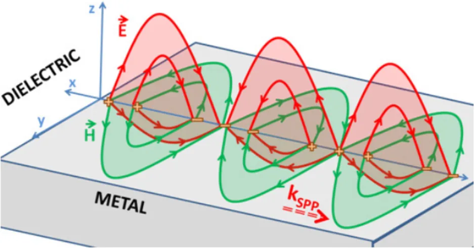 Figure  2.6:  Electric  and  magnetic  field  distributions  of  SPPs  propagating  at  the  metal-dielectric interface