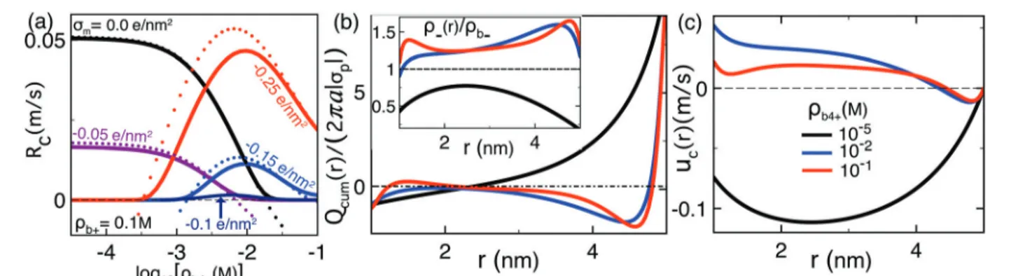 Fig. 4 (a) Translocation rate R c (solid curves) and drift velocity v dr (dots) against the Spm 4+ density at various membrane charge values