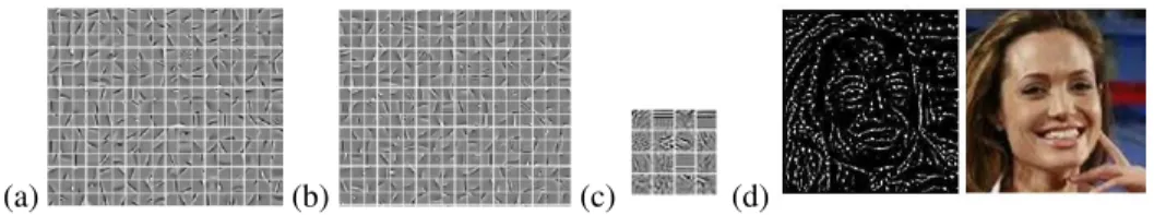Figure 4. Random set of filters learned from (a) whitened raw image pixels, (b) LBP encoded images