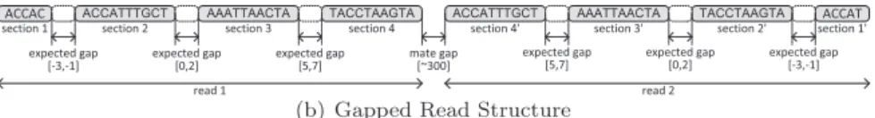 Fig. 2 shows the typical operation of a seed-and-extend mapper.