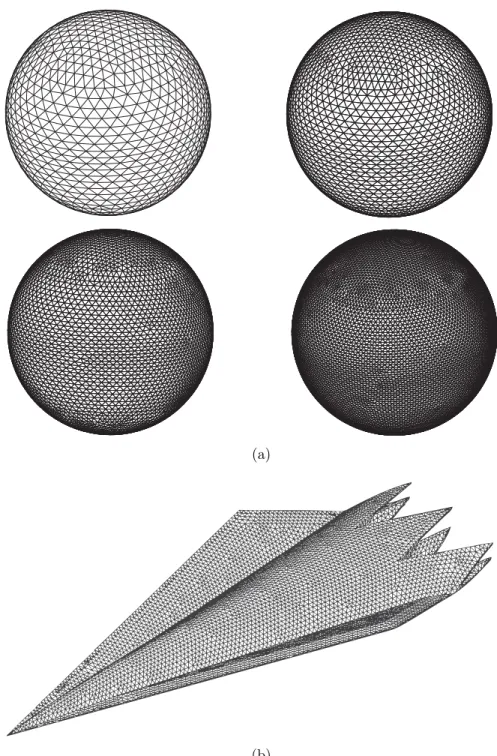 Figure 1.7 Surface model of a stealth airborne target Flamme with triangular meshing.