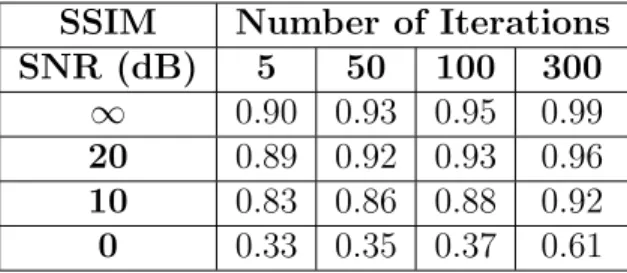 Table 3.4: SSIM of the reconstructed object for each SNR level and iteration numbers.