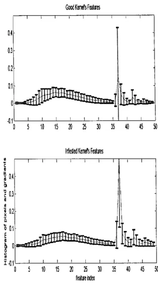 Fig.  1 .   A  sample of good  and  insect  damaged kemel pictures 
