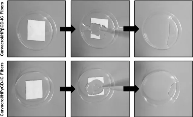 Figure 9 Presentation of the solubility behavior of carvacrol/