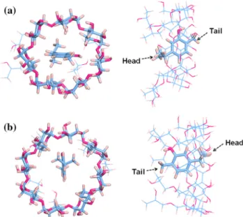Figure 3 Top and side views of inclusion complexes of a HPbCD and b HPcCD with carvacrol