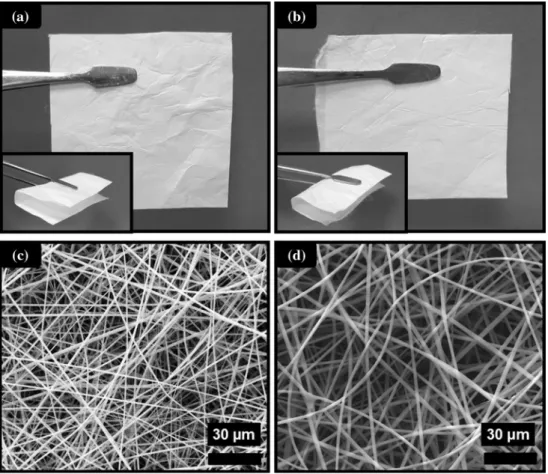 Table 2 Properties of the solutions used for electrospinning and morphological characteristics of the resulting fibers