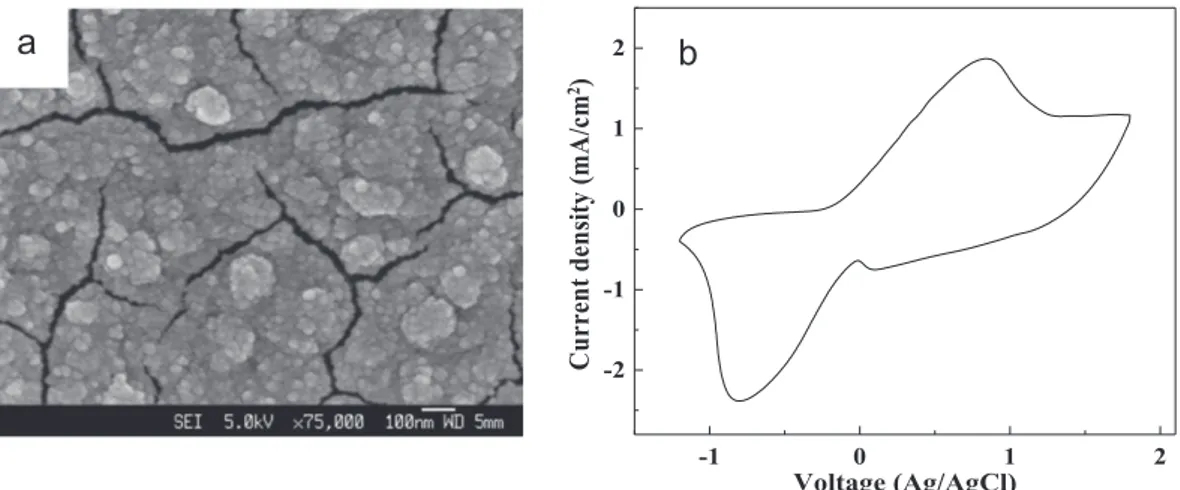 Fig. 2. (a) SEM images of the electrodeposited PB film. (b) Cyclic voltammetry curve of PB film measured with 0.2 M LiClO 4 in g -butyrolactone as electrolyte at room temperature with a scan rate of 100 mV/s from '1.2 to1.7 V.