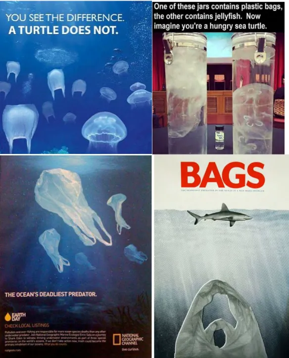 Figure 19. Jellyfish-Grocery Bag parallelism, the grocery bag as a predator.  