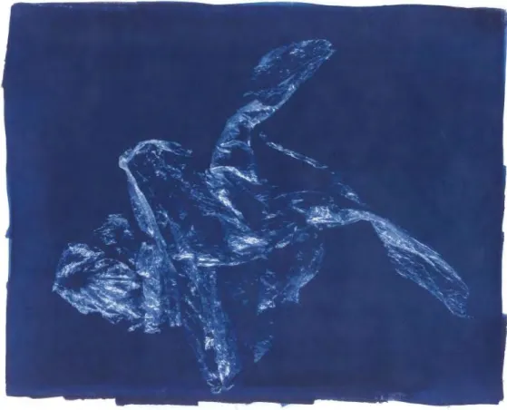 Figure 21. Fauxssille created with grocery bag, looking like a kind of fish. 