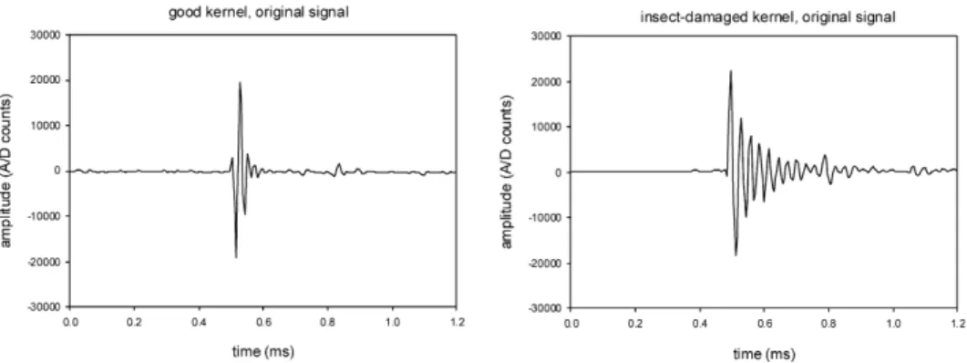Fig. 4. Typical signals from an undamaged kernel (left) and IDK (right). Note that duration of the IDK signal is longer.