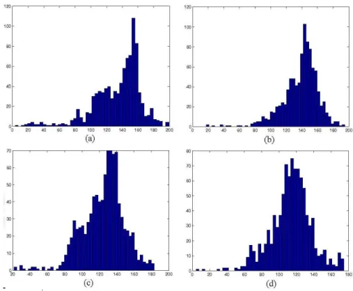 Figure 3.6: The histograms of the corresponding patches which are shown in Figure 3.5