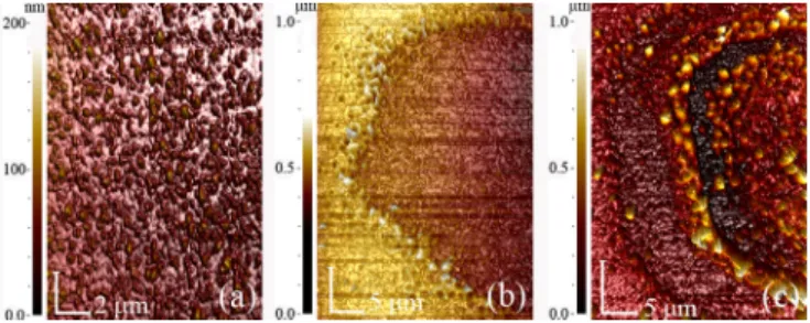 FIG. 3. Line profile of irradiated surfaces irradiated with (a) 140 mJ/cm 2 and (b) 340 mJ/cm 2 obtained with AFM