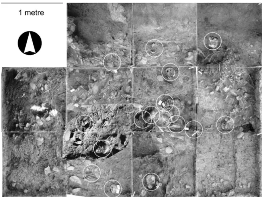 Figure  15.  Skull  burials  from  the  Death  Pit  at  Domuztepe.  Substantial  pieces  of  skulls are circled (after Campbell, 2008b: fig