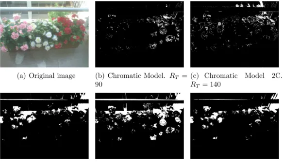 Figure 2.9: Classiﬁcations results of an image in color space.