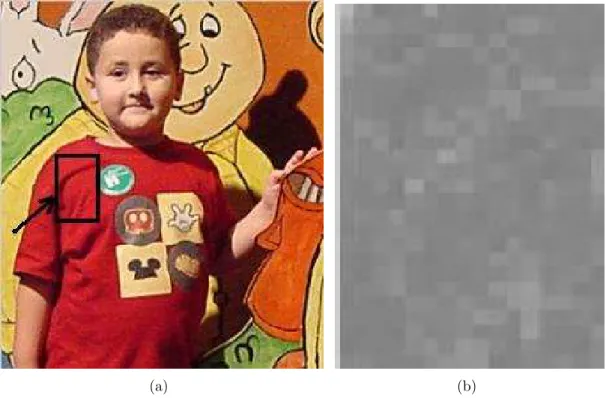 Figure 2.7: (a) A child with a fire-colored t-shirt, and b) the absolute sum of spa- spa-tial wavelet transform coefficients, |I lh (k, l)|+|I hl (k, l)|+|I hh (k, l)|, of the region bounded by the indicated rectangle.