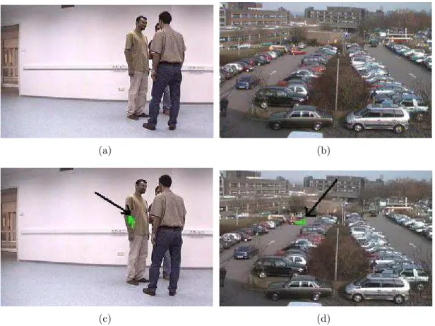 Figure 2.10: Sample images (a) and (b) are from Movies 7 and 9, respectively.