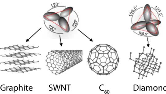 Figure 2.1: (Reproduced from Ref.[26]) Graphene, graphite, single-walled carbon nanotube (SWNT) and C 60 structures make sp 2 type bonding, whereas diamond makes sp 3 type bonding