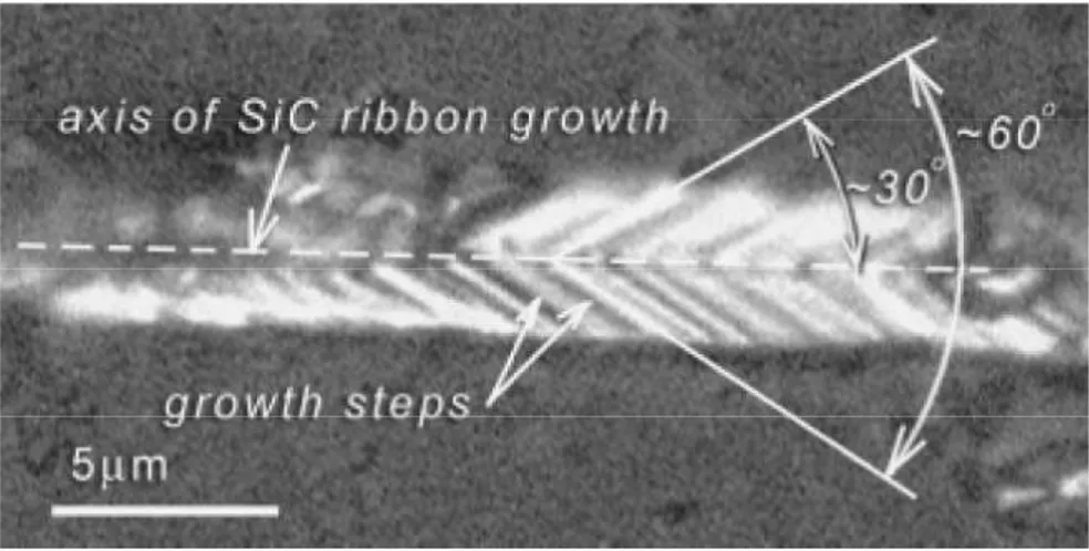 Figure 2.7: (Reproduced from Ref. [44]) Optical micrograph of a SiC ribbon attached to a flat substrate.