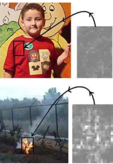 Fig. 3. Comparison of spatial variations of fire-colored re- re-gions. Flame(bottom-left) have substantially higher  spa-tial variation(bottom-right) compared to an ordinary  fire-colored region.