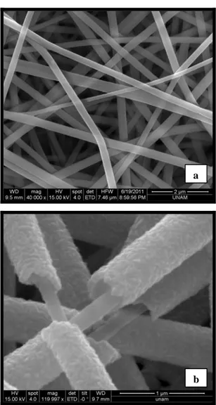 Figure 2: Representative SEM images of (a) nylon 66  nanofibers, (b) nylon66-ZnO core-shell nanofibers