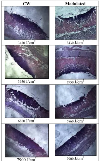 Figure 8: Ablation analysis parameters after CW laser applications (day4)