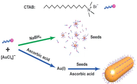 Figure 50. Preparation of gold NRs according to El-Sayed’s seed mediated synthesis. 