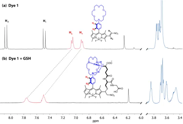 Figure 57. Partial  1 H-NMR (in CD 3 OD, 298 K) spectra depicting the changes on GSH  conjugate addition to the (Dye 1): The adduct was isolated by preparative HPLC following a 