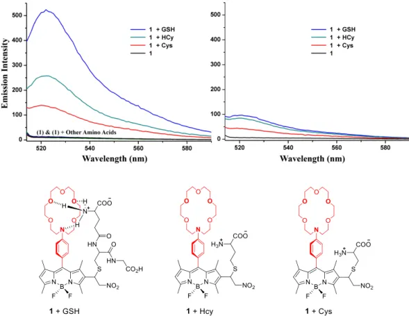 Figure 58. Emission response to biological thiols at two different pH values, 7.4 (left, 60:40,  30 mM MES buffer/acetonitrile) and 6.0 (right, 60:40, 30 mM MOPS buffer/acetonitrile)