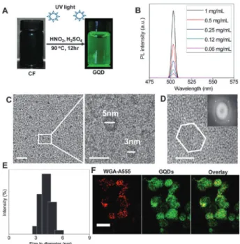 Fig. 6 (A) Synthesis and fluorescence of GO QDs, (B) fluorescence intensities at 505 nm wavelength, (C) TEM images; scale bar is 50 nm for the left image and 10 nm for the right image, (D) HR-TEM image (scale bar = 5 nm) showing the edge structure of latti