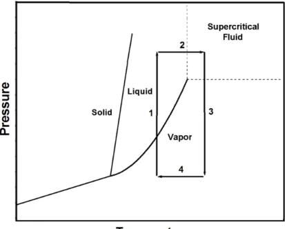 Figure 3.2  Schematic representation of low temperature supercritical drying  on  phase diagram