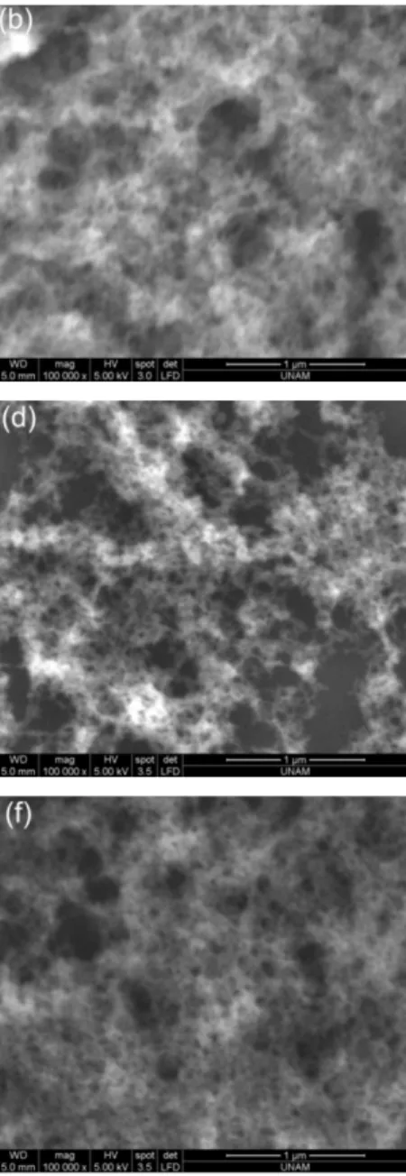 Figure 5.2 SEM micrographs of aerogel thin films. (a,b) AF-1 , (c,d) AF-2 and  (d,f) AF-3
