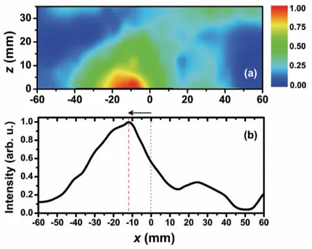 Fig. 2. (a) Spatial intensity distribution of an outgoing EM wave at 3.86 GHz along the x-z plane