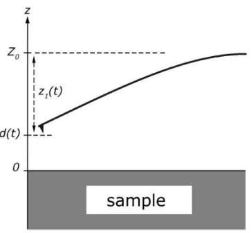 Figure 2.1: Schematic depiction of the flexural bending of a cantilevered beam and variables used to describe the tip position with respect to sample.