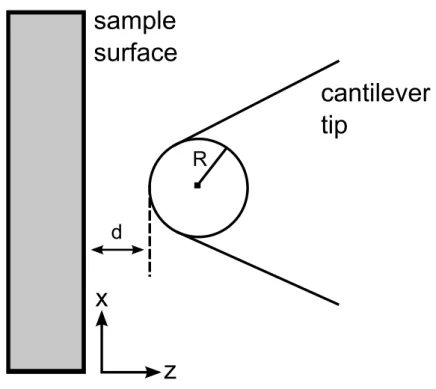 Figure 2.2: Schematic depiction of a cantilever tip with a radius R. Tip sample distance is d.
