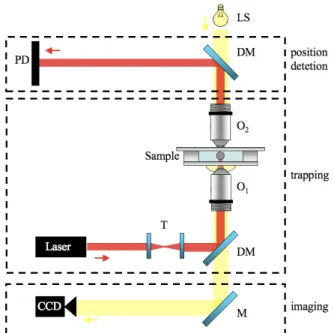 Figure 2. Basic PFM setup. Main components: laser, high-NA objective (O1 ), condenser (O2 ), sample, photodetector (PD),  and CCD camera