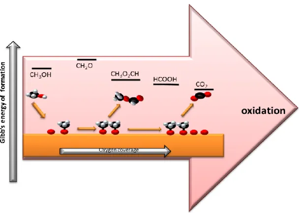 Figure  2.  Reaction  mechanism  for  the  oxidation  of  methanol  on  the  Au  (111)  model  catalyst  surface revealing the variety of possible reaction products [Adapted from Ref 3]