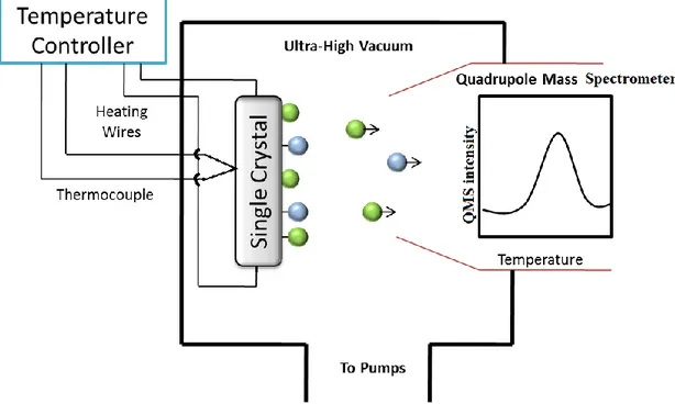 Figure 15. Experimental set up for Temperature Programmed Desorption (TPD) technique in  ultra-high vacuum