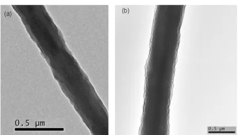 Figure 8. TEM images of electrospun fibers: (a) PS10, (b) PS10/CD25.