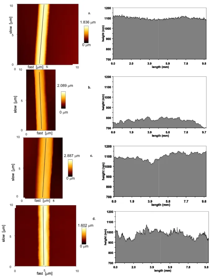 Figure 9. AFM images and the cross-section profiles of electrospun fibers: (a) PS25, (b) PS20/CD10, (c) PS15/CD25, and (d) PS10/CD50.